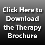 View and Download the Physical Therapy Brochure